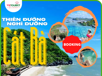 TOUR DU LỊCH CÁT BÀ